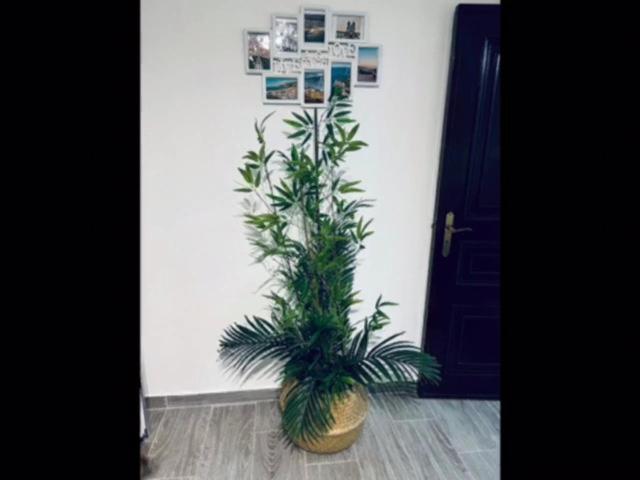 Casinha Da Palmeira Nazare Luaran gambar